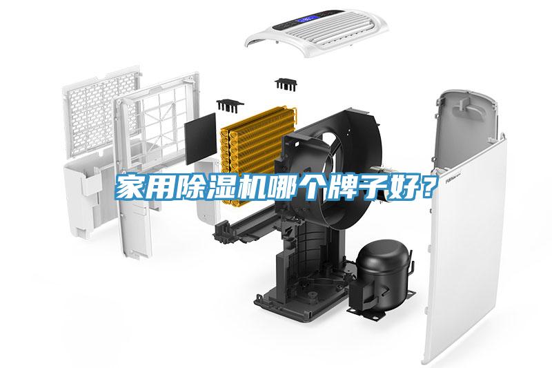 家用榴莲视频官网APP哪個牌子好？