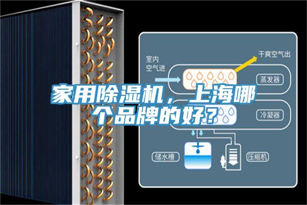 家用榴莲视频官网APP，上海哪個品牌的好？