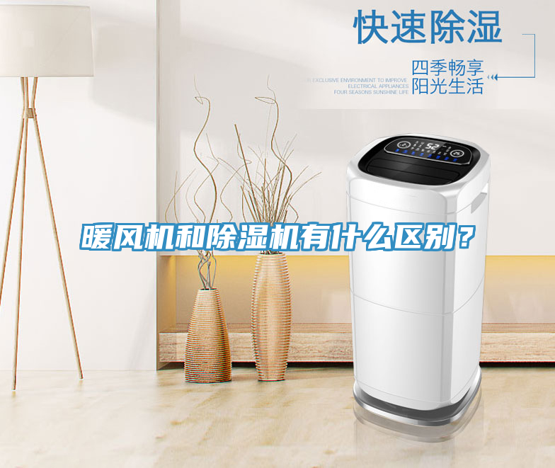 暖風機和榴莲视频官网APP有什麽區別？