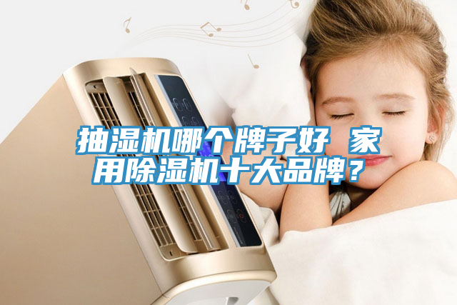 抽濕機哪個牌子好 家用榴莲视频官网APP十大品牌？