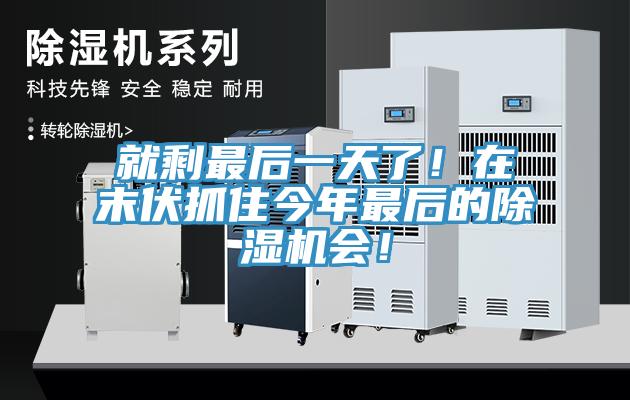 就剩最後一天了！在末伏抓住今年最後的榴莲视频官网APP會！