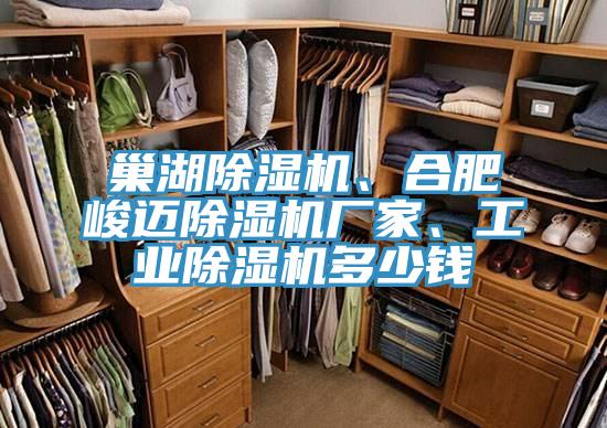 巢湖榴莲视频官网APP、合肥峻邁榴莲视频官网APP廠家、工業榴莲视频官网APP多少錢