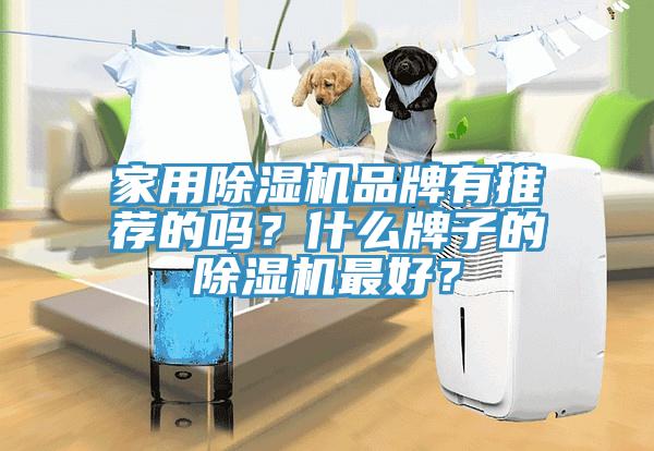 家用榴莲视频官网APP品牌有推薦的嗎？什麽牌子的榴莲视频官网APP最好？