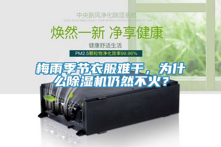 梅雨季節衣服難幹，為什麽榴莲视频官网APP仍然不火？
