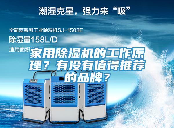 家用榴莲视频官网APP的工作原理？有沒有值得推薦的品牌？