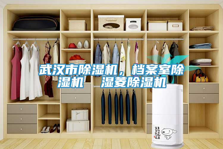 武漢市榴莲视频官网APP，檔案室榴莲视频官网APP  濕菱榴莲视频官网APP