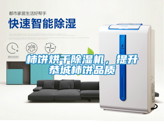 柿餅烘幹榴莲视频官网APP，提升恭城柿餅品質