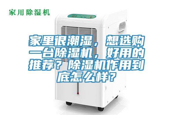 家裏很潮濕，想選購一台榴莲视频官网APP，好用的推薦？榴莲视频官网APP作用到底怎麽樣？