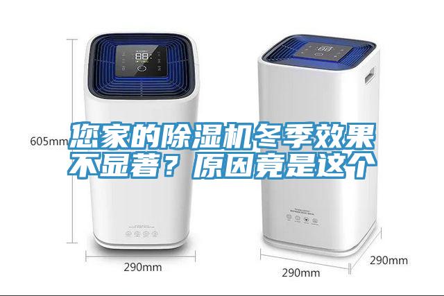 您家的榴莲视频官网APP冬季效果不顯著？原因竟是這個