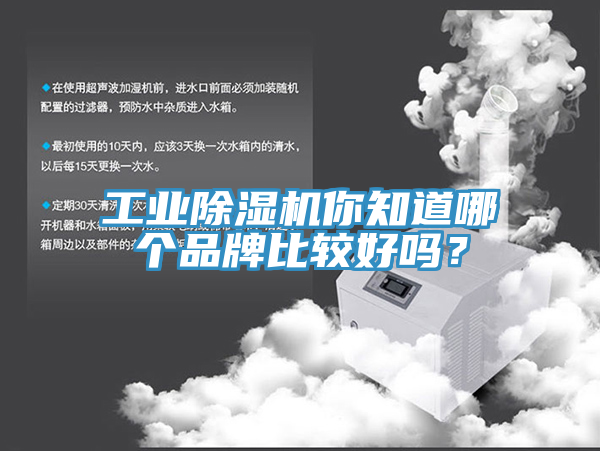 工業榴莲视频官网APP你知道哪個品牌比較好嗎？
