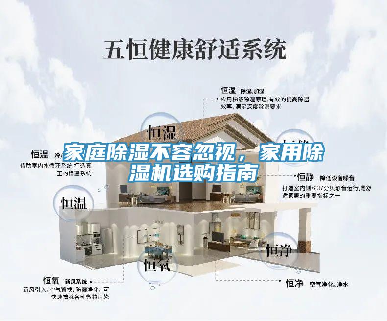 家庭除濕不容忽視，家用榴莲视频官网APP選購指南