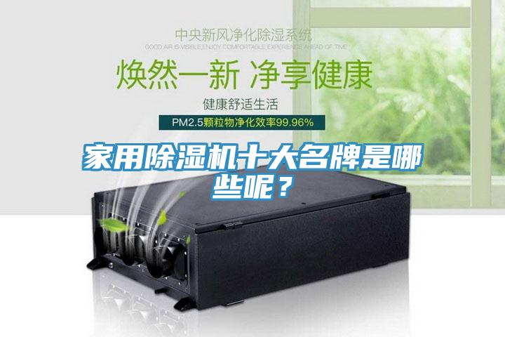 家用榴莲视频官网APP十大名牌是哪些呢？