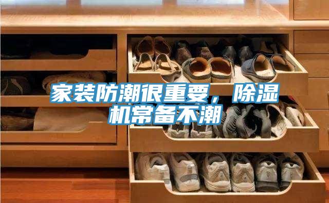 家裝防潮很重要，榴莲视频官网APP常備不潮