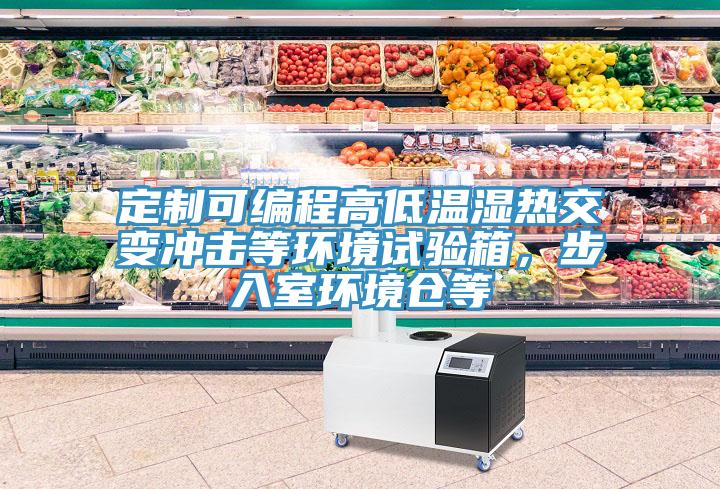 定製可編程高低溫濕熱交變衝擊等環境試驗箱，步入室環境倉等