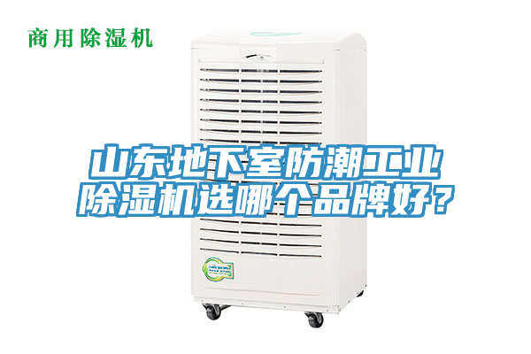 山東地下室防潮工業榴莲视频官网APP選哪個品牌好？