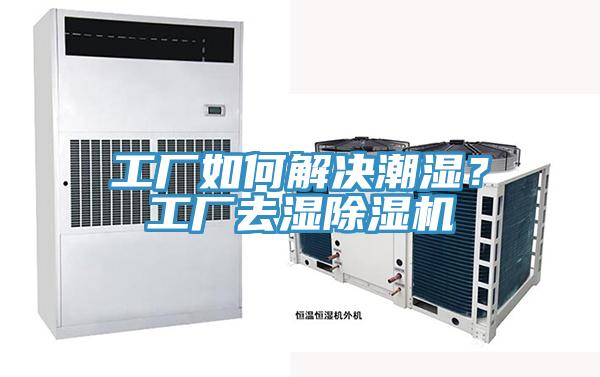 工廠如何解決潮濕？工廠去濕榴莲视频官网APP