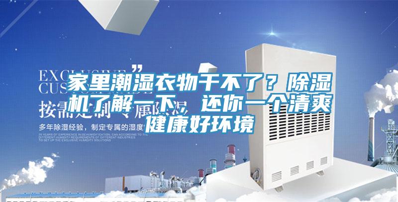 家裏潮濕衣物幹不了？榴莲视频官网APP了解一下，還你一個清爽健康好環境