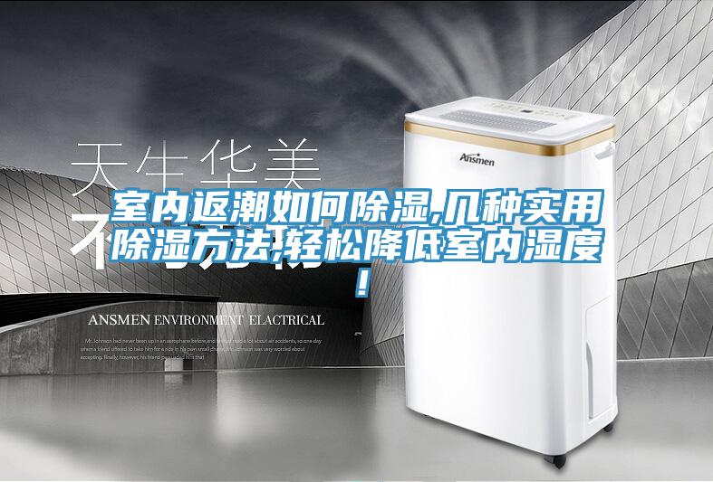 室內返潮如何除濕,幾種實用除濕方法,輕鬆降低室內濕度！