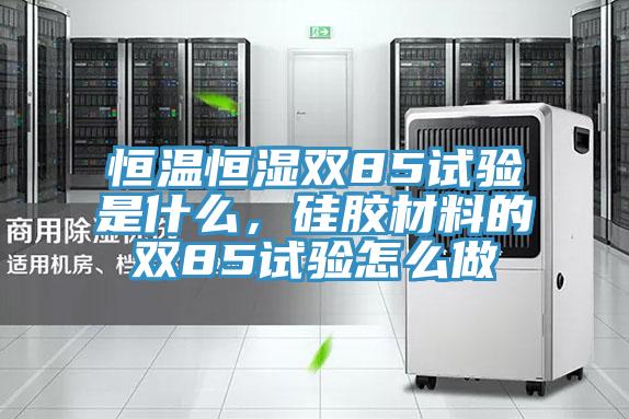 恒溫恒濕雙85試驗是什麽，矽膠材料的雙85試驗怎麽做