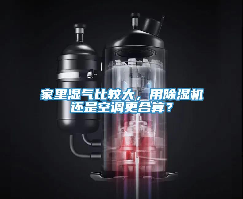 家裏濕氣比較大，用榴莲视频官网APP還是空調更合算？
