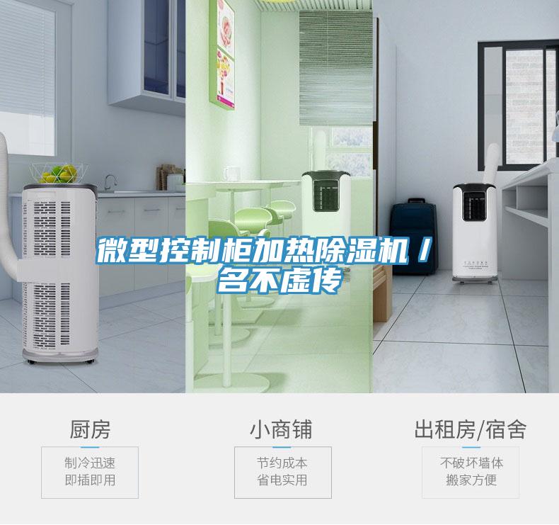 微型控製櫃加熱榴莲视频官网APP／ 名不虛傳