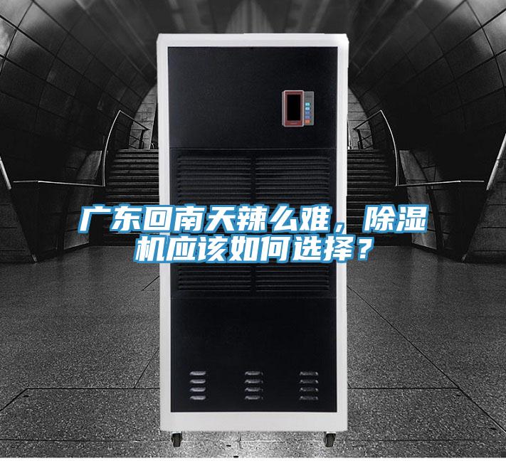 廣東回南天辣麽難，榴莲视频官网APP應該如何選擇？