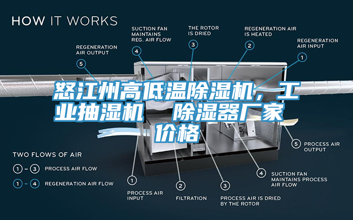怒江州高低溫榴莲视频官网APP，工業抽濕機  除濕器廠家 價格