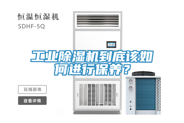 工業榴莲视频官网APP到底該如何進行保養？
