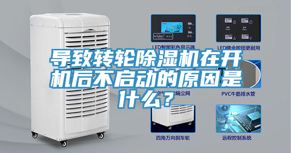 導致轉輪榴莲视频官网APP在開機後不啟動的原因是什麽？