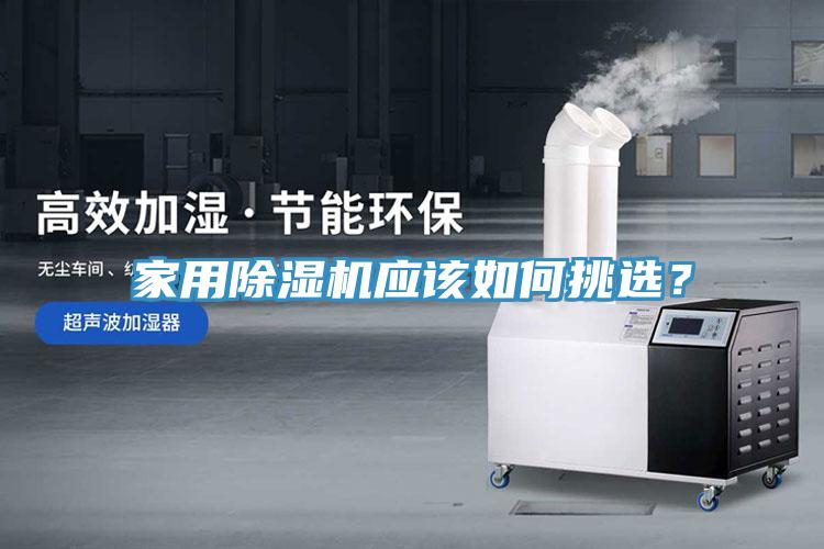 家用榴莲视频官网APP應該如何挑選？