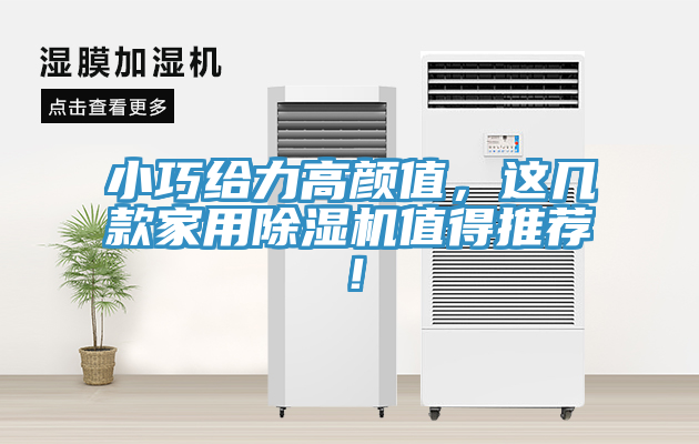 小巧給力高顏值，這幾款家用榴莲视频官网APP值得推薦！