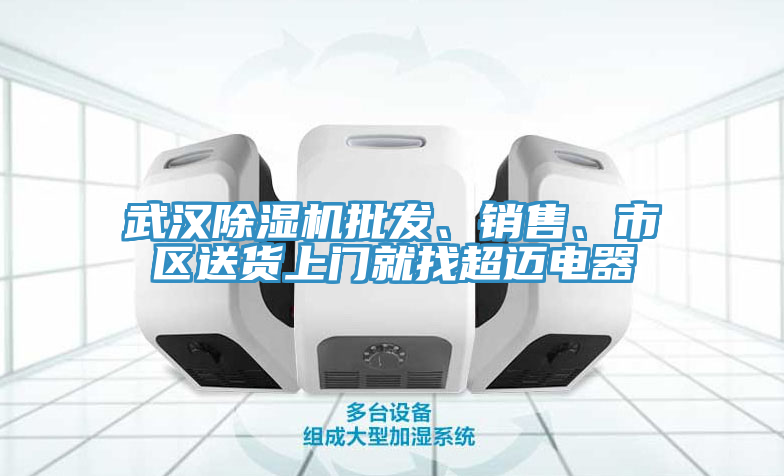 武漢榴莲视频官网APP批發、銷售、市區送貨上門就找超邁電器