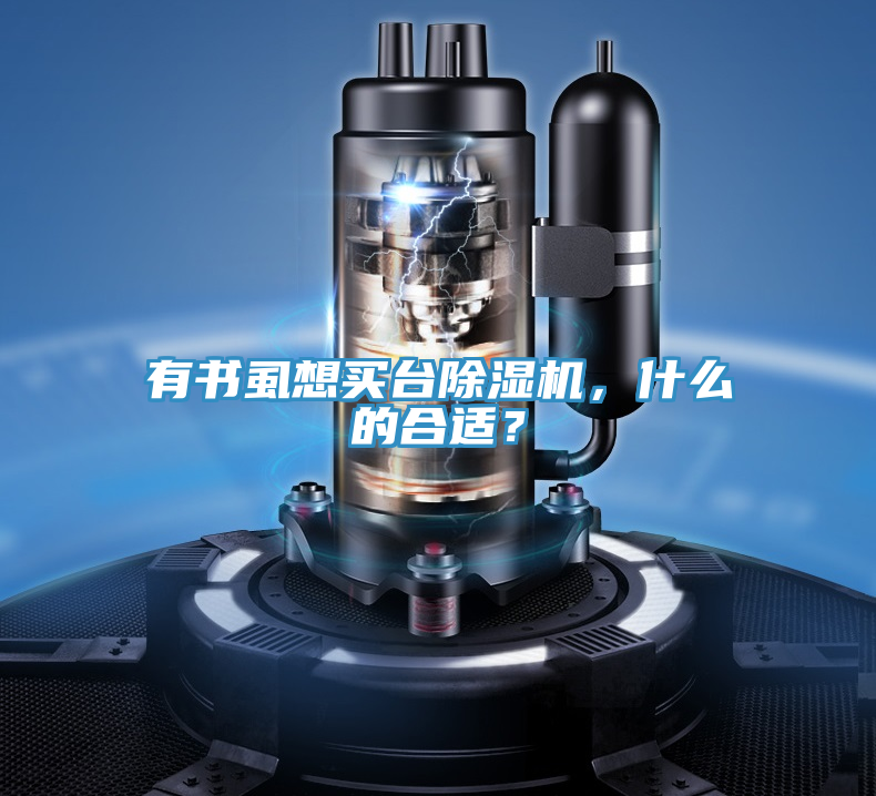 有書虱想買台榴莲视频官网APP，什麽的合適？