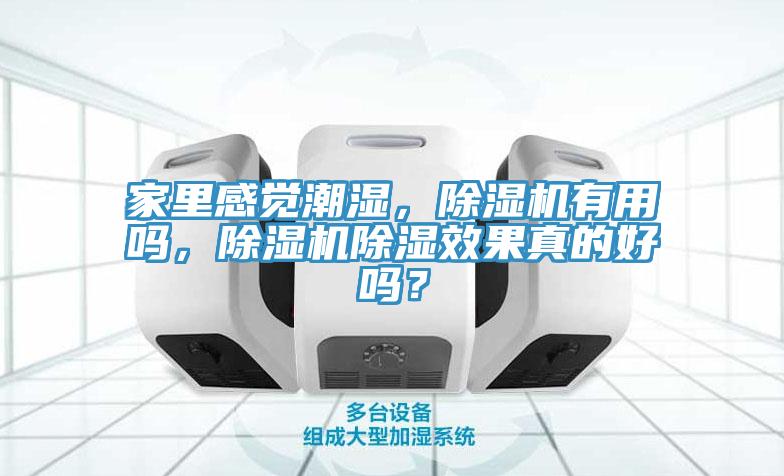 家裏感覺潮濕，榴莲视频官网APP有用嗎，榴莲视频官网APP除濕效果真的好嗎？