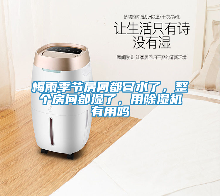 梅雨季節房間都冒水了，整個房間都濕了，用榴莲视频官网APP有用嗎