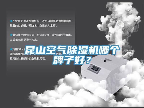 昆山空氣榴莲视频官网APP哪個牌子好？