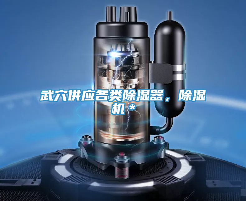 武穴供應各類除濕器，榴莲视频官网APP＊