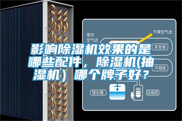 影響榴莲视频官网APP效果的是哪些配件，榴莲视频官网APP(抽濕機）哪個牌子好？