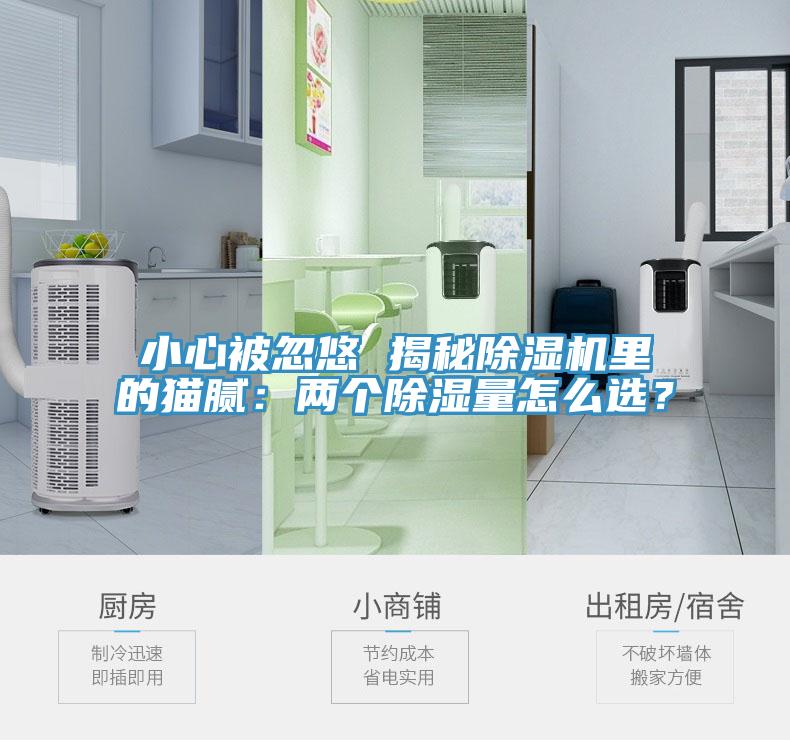 小心被忽悠 揭秘榴莲视频官网APP裏的貓膩：兩個除濕量怎麽選？