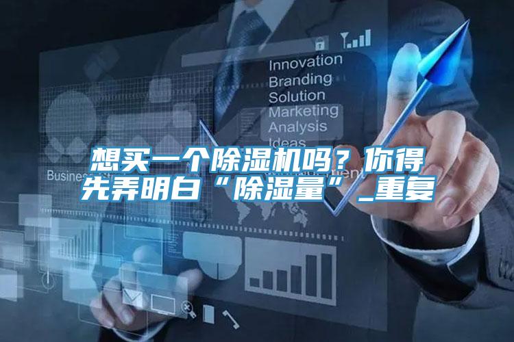 想買一個榴莲视频官网APP嗎？你得先弄明白“除濕量”_重複