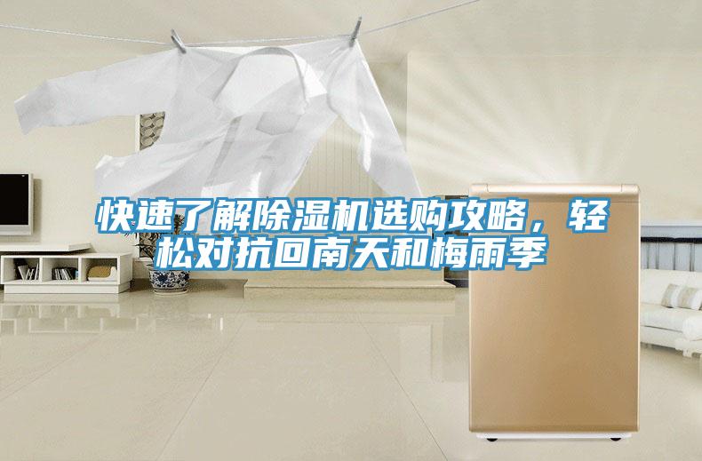 快速了解榴莲视频官网APP選購攻略，輕鬆對抗回南天和梅雨季