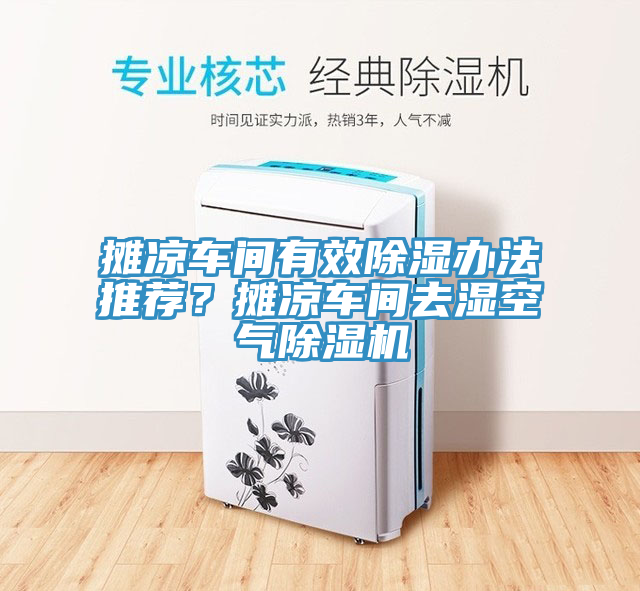 攤涼車間有效除濕辦法推薦？攤涼車間去濕空氣榴莲视频官网APP