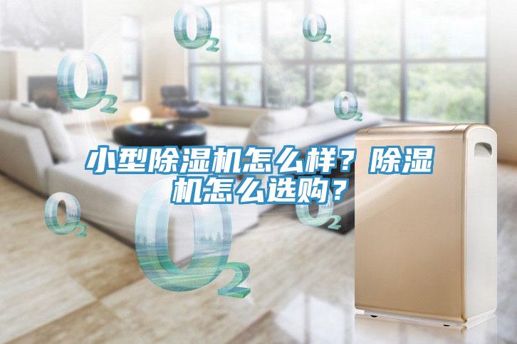 小型榴莲视频官网APP怎麽樣？榴莲视频官网APP怎麽選購？
