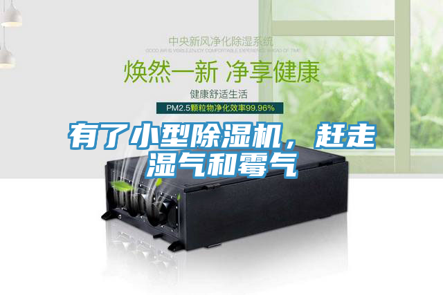 有了小型榴莲视频官网APP，趕走濕氣和黴氣
