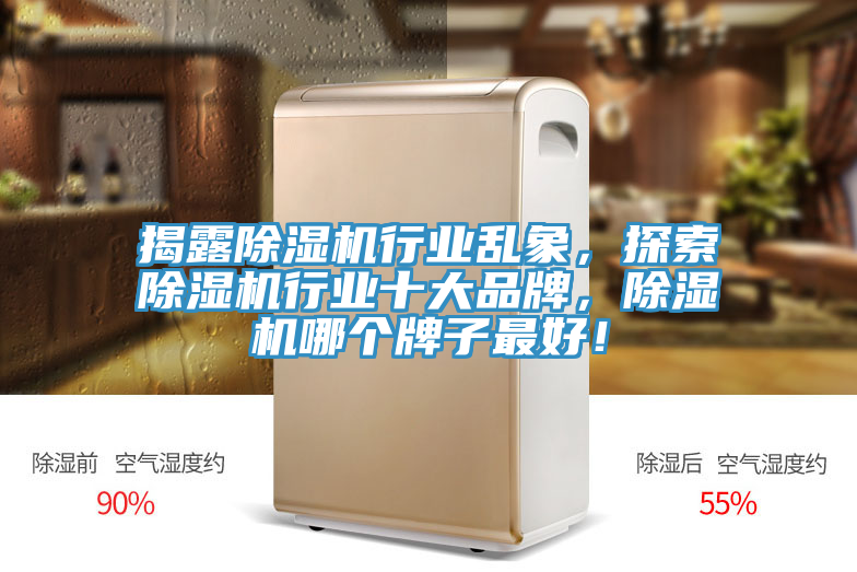 揭露榴莲视频官网APP行業亂象，探索榴莲视频官网APP行業十大品牌，榴莲视频官网APP哪個牌子最好！