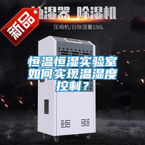 恒溫恒濕實驗室如何實現溫濕度控製？