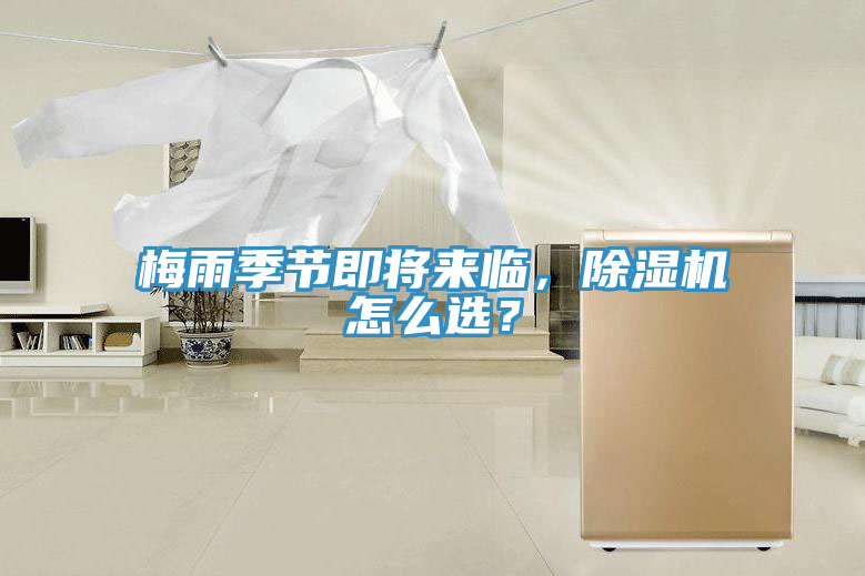 梅雨季節即將來臨，榴莲视频官网APP怎麽選？