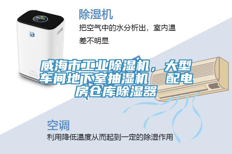 威海市工業榴莲视频官网APP，大型車間地下室抽濕機  配電房倉庫除濕器