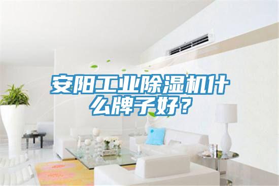 安陽工業榴莲视频官网APP什麽牌子好？