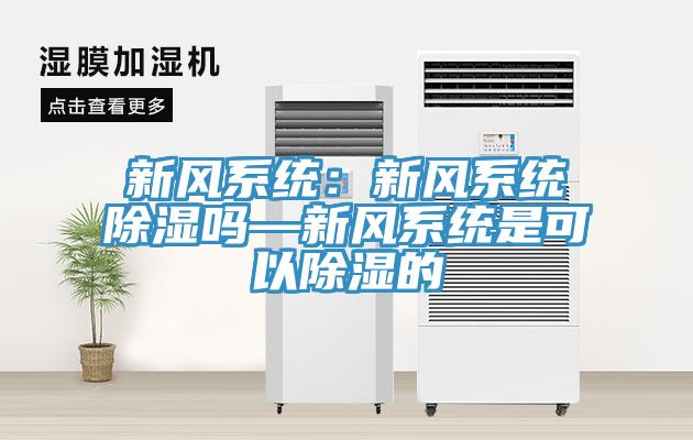 新風係統：新風係統除濕嗎—新風係統是可以除濕的